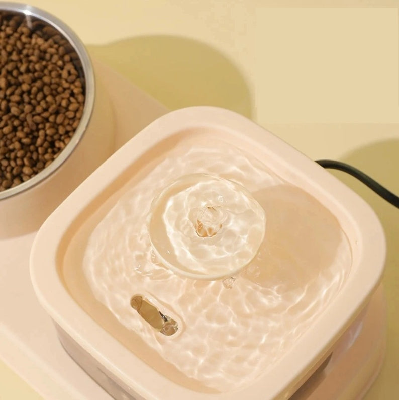 2-in-1 Cat Water Dispenser & Feeding Bowl