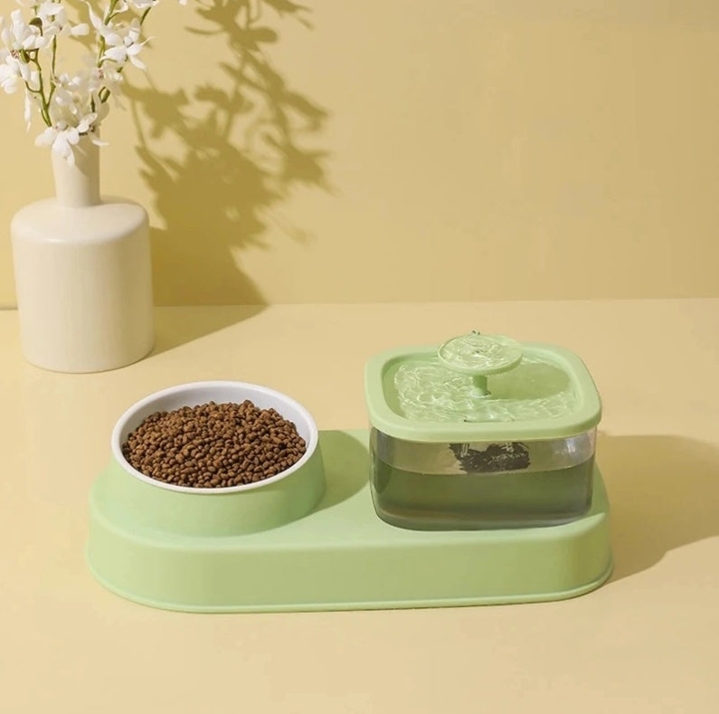 2-in-1 Cat Water Dispenser & Feeding Bowl