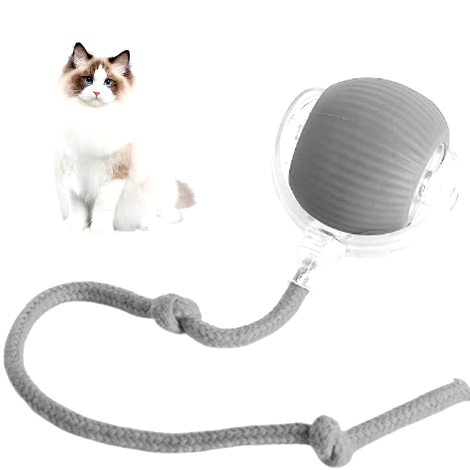 Smart Roll Pet Play Ball 2026