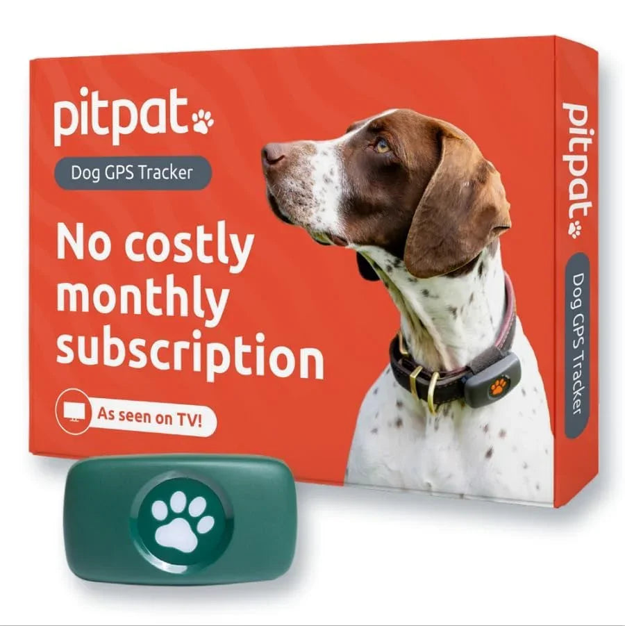 PitPat green GPS dog tracker attached to a collar